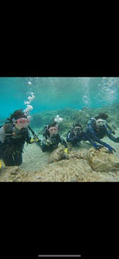 武藤潜水に投稿された画像（2025/3/8）