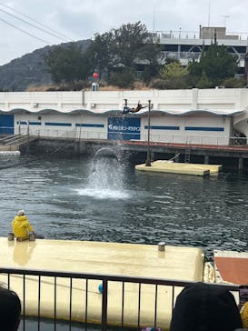 伊豆・三津シーパラダイスに投稿された画像（2025/3/8）