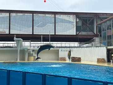 伊豆・三津シーパラダイスに投稿された画像（2025/3/8）