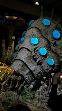 金曜ロードショーとジブリ展　三重展に投稿された画像（2025/3/8）