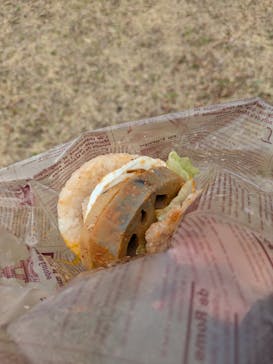 偕楽園本園に投稿された画像（2025/3/8）