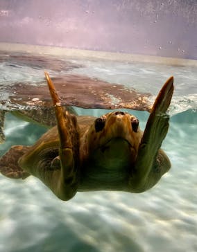 マリンワールド海の中道に投稿された画像（2025/3/8）