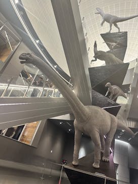 福井県立恐竜博物館に投稿された画像（2025/3/8）