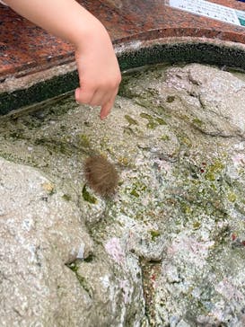 名古屋港水族館に投稿された画像（2025/3/8）