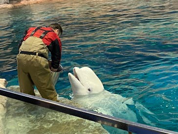 名古屋港水族館に投稿された画像（2025/3/8）