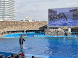 名古屋港水族館に投稿された画像（2025/3/8）