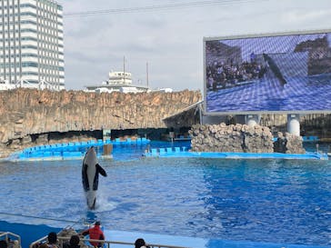 名古屋港水族館に投稿された画像（2025/3/8）