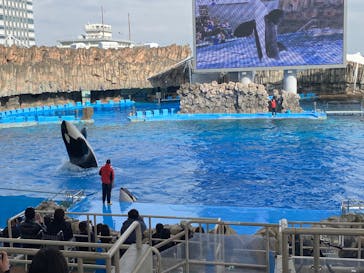 名古屋港水族館に投稿された画像（2025/3/8）