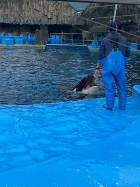 名古屋港水族館に投稿された画像（2025/3/8）