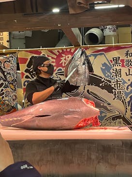 ポルトヨーロッパに投稿された画像（2025/3/8）