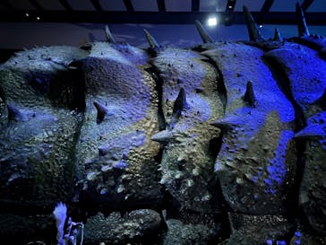 金曜ロードショーとジブリ展　三重展に投稿された画像（2025/3/8）