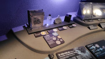 国立科学博物館に投稿された画像（2025/3/8）