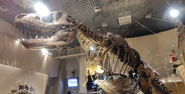 国立科学博物館に投稿された画像（2025/3/8）