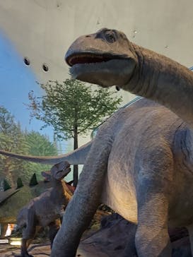 福井県立恐竜博物館に投稿された画像（2025/3/8）