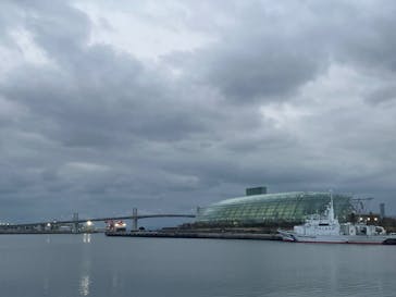 環境水族館アクアマリンふくしまに投稿された画像（2025/3/8）