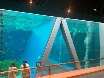 環境水族館アクアマリンふくしまに投稿された画像（2025/3/8）