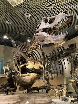 国立科学博物館に投稿された画像（2025/3/8）