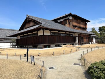 元離宮二条城に投稿された画像（2025/3/8）