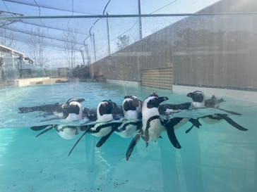 マリンワールド海の中道に投稿された画像（2025/3/8）