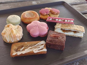 万博記念公園に投稿された画像（2025/3/8）