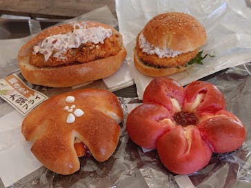 万博記念公園に投稿された画像（2025/3/8）