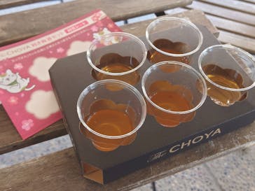 万博記念公園に投稿された画像（2025/3/8）