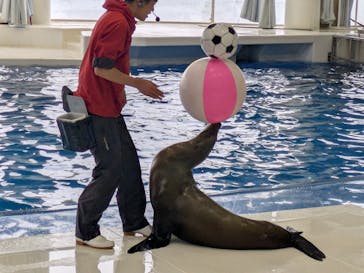 アクアワールド茨城県大洗水族館に投稿された画像（2025/3/8）