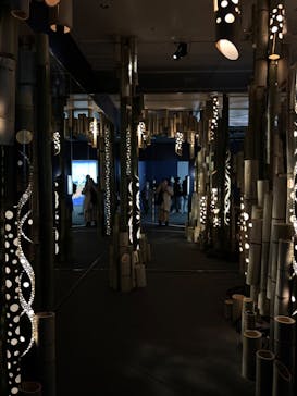 HOKUSAI : ANOTHER STORY in TOKYOに投稿された画像（2025/3/8）