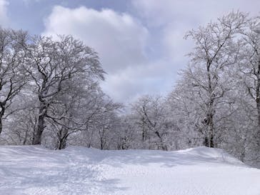 オニコウベスキー場に投稿された画像（2025/3/8）