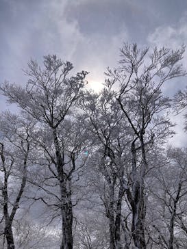 オニコウベスキー場に投稿された画像（2025/3/8）