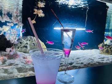 マクセル アクアパーク品川に投稿された画像（2025/3/8）