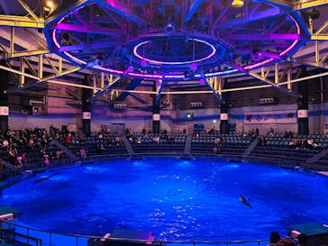 マクセル アクアパーク品川に投稿された画像（2025/3/8）