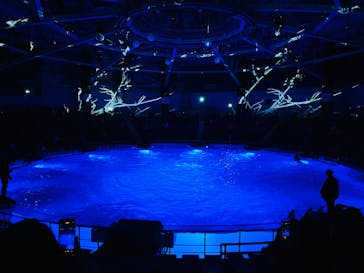 マクセル アクアパーク品川に投稿された画像（2025/3/8）