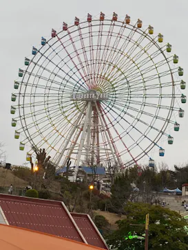 ひらかたパークに投稿された画像（2025/3/8）