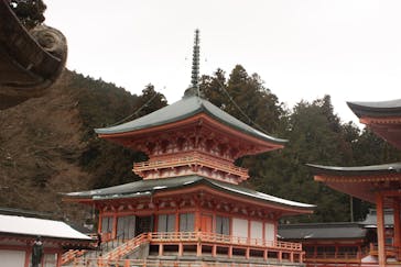 延暦寺に投稿された画像（2025/3/8）