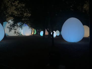 チームラボ ボタニカルガーデン 大阪に投稿された画像（2025/3/8）