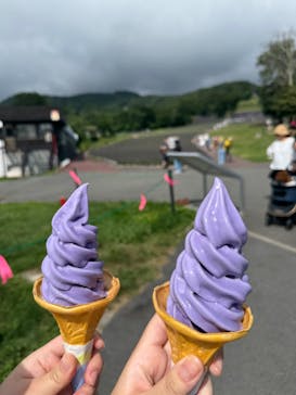 たんばらラベンダーパークに投稿された画像（2025/3/8）