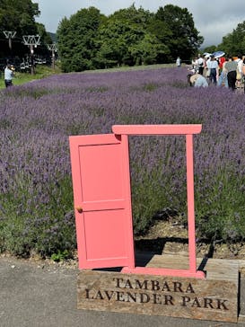 たんばらラベンダーパークに投稿された画像（2025/3/8）