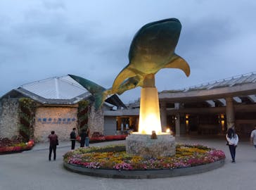 沖縄美ら海水族館に投稿された画像（2025/3/8）