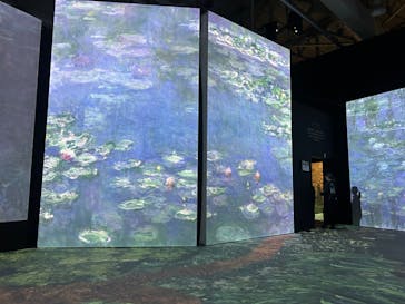 「モネ＆フレンズ・アライブ」神戸展に投稿された画像（2025/3/8）