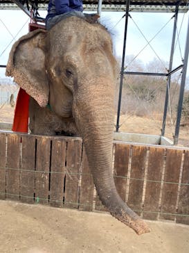 那須ワールドモンキーパークに投稿された画像（2025/3/8）