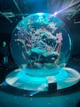 AQUARIUM × ART　atoa×神戸どうぶつ王国に投稿された画像（2025/3/9）