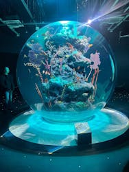AQUARIUM × ART　atoa×神戸どうぶつ王国に投稿された画像（2025/3/8）