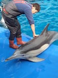 大分マリーンパレス水族館 「うみたまご」に投稿された画像（2025/3/9）