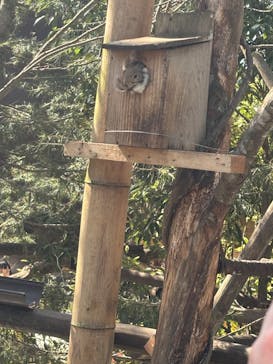 那須どうぶつ王国に投稿された画像（2025/3/9）