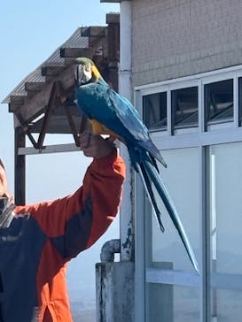 那須どうぶつ王国に投稿された画像（2025/3/9）