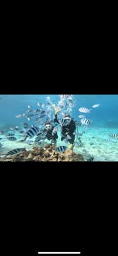 青の洞窟専門店　沖縄ダイビングショップ和に投稿された画像（2025/3/9）