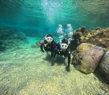 沖縄マリンサービス碧に投稿された画像（2025/3/9）