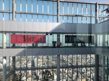 ハルカス300(展望台)に投稿された画像（2025/3/9）