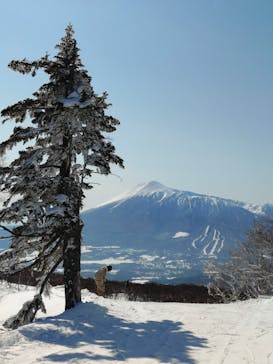 安比高原スキー場に投稿された画像（2025/3/9）